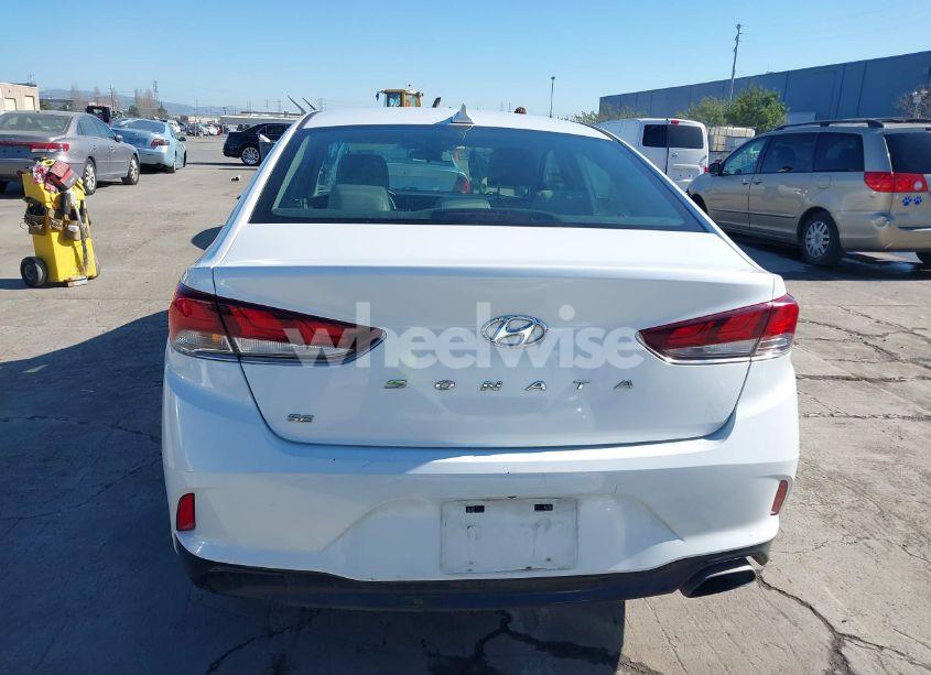 Photo 16 of 2019 Hyundai Sonata SE (VIN 5NPE24AF4KH777071)