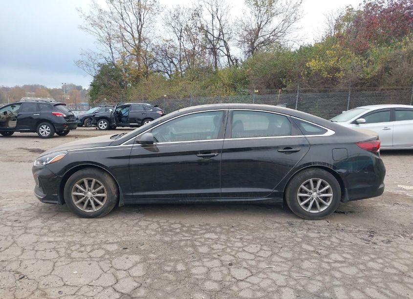 Photo 14 of 2019 Hyundai Sonata SE (VIN 5NPE24AF4KH801191)