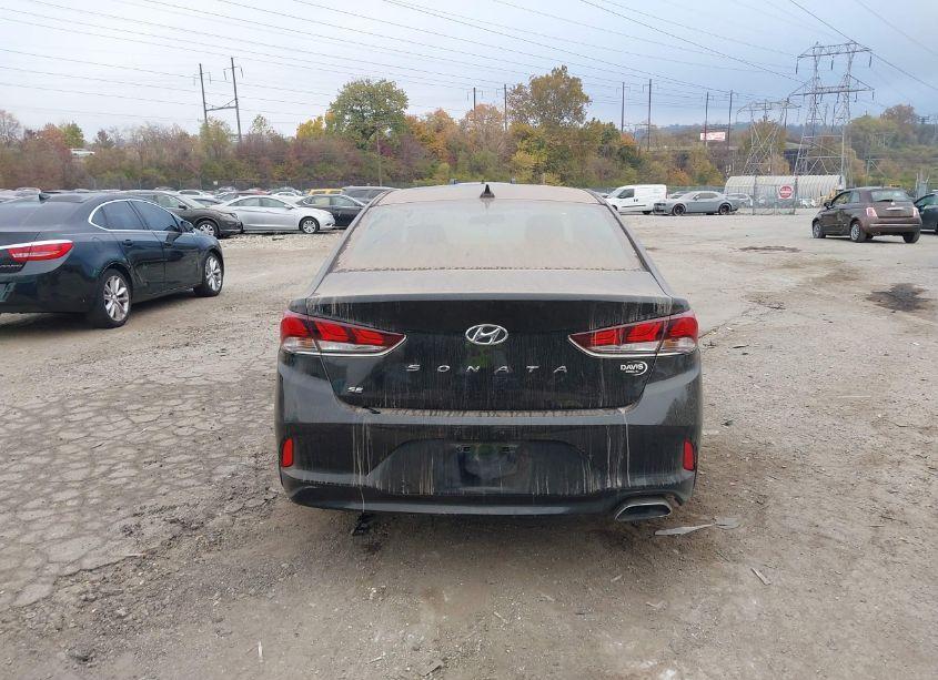 Photo 16 of 2019 Hyundai Sonata SE (VIN 5NPE24AF4KH801191)