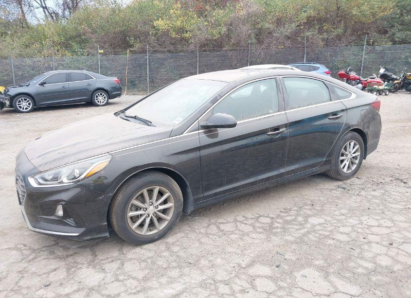 Photo 2 of 2019 Hyundai Sonata SE (VIN 5NPE24AF4KH801191)
