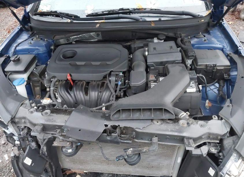 Photo 10 of 2019 Hyundai Sonata SE (VIN 5NPE24AF4KH804446)