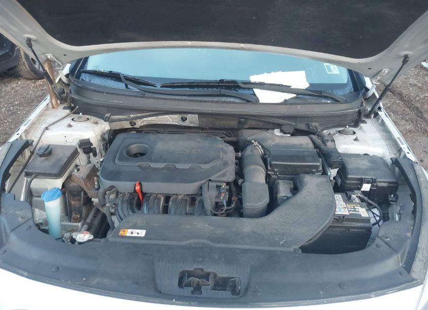 Photo 10 of 2016 Hyundai Sonata (VIN 5NPE24AF5GH396207)