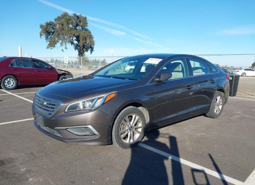 Photo 2 of 2017 Hyundai Sonata (VIN 5NPE24AF5HH441244)