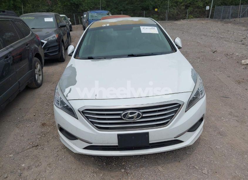 Photo 12 of 2017 Hyundai Sonata (VIN 5NPE24AF5HH503290)