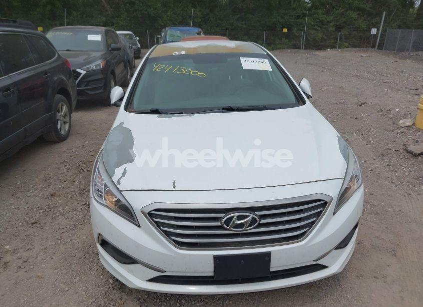 Photo 6 of 2017 Hyundai Sonata (VIN 5NPE24AF5HH503290)