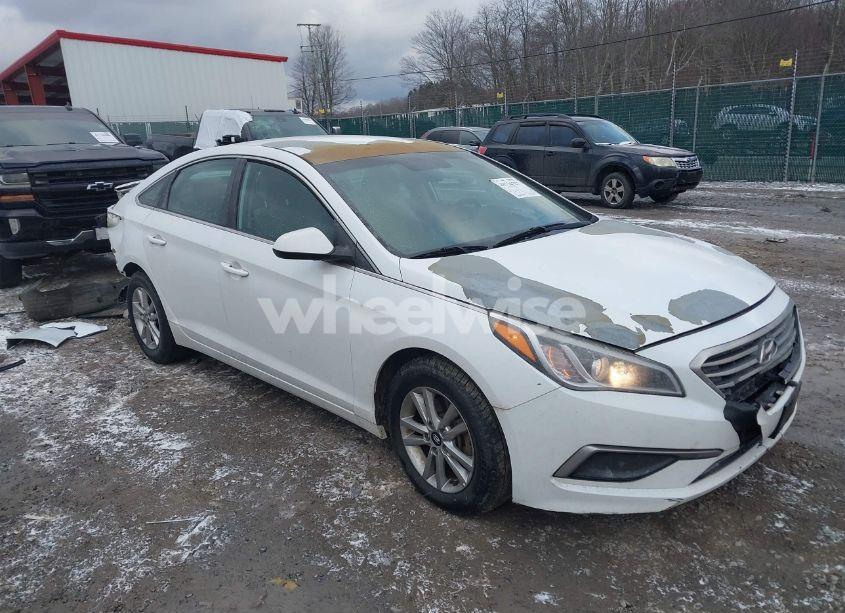 2017 Hyundai Sonata (VIN 5NPE24AF5HH529517) main photo