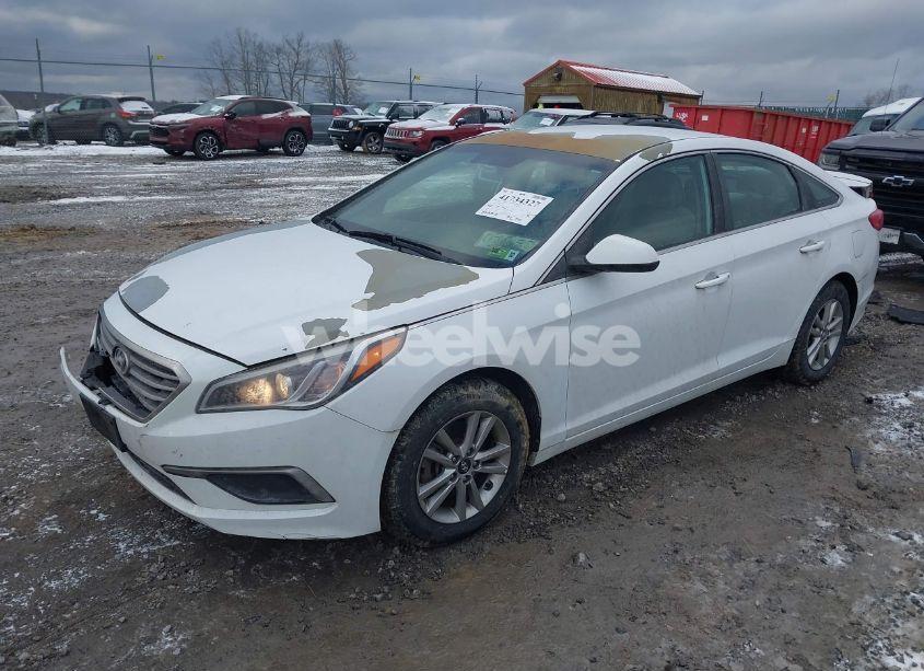 Photo 2 of 2017 Hyundai Sonata (VIN 5NPE24AF5HH529517)