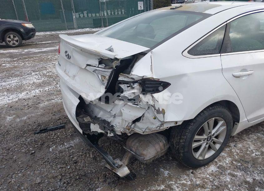 Photo 6 of 2017 Hyundai Sonata (VIN 5NPE24AF5HH529517)