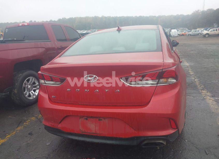 Photo 16 of 2019 Hyundai Sonata SE (VIN 5NPE24AF5KH791853)