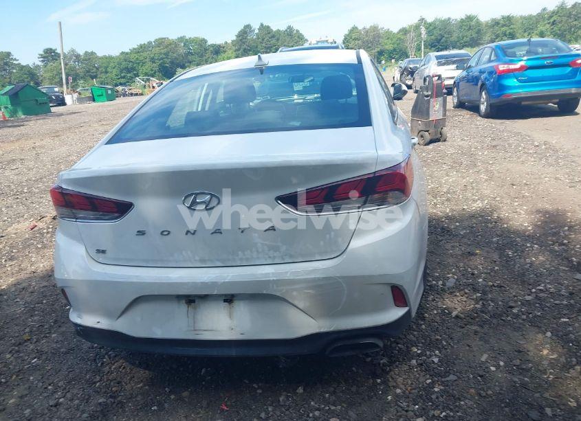 Photo 16 of 2019 Hyundai Sonata SE (VIN 5NPE24AF5KH811423)