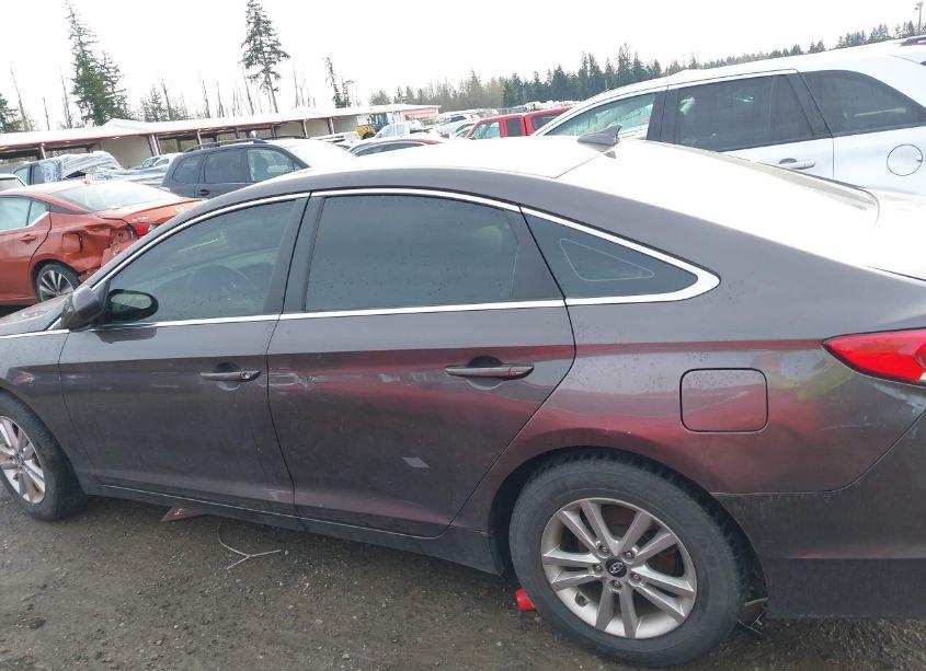 Photo 14 of 2016 Hyundai Sonata SE (VIN 5NPE24AF6GH366763)