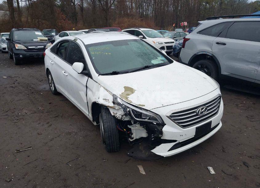 2016 Hyundai Sonata SE (VIN 5NPE24AF6GH379366) main photo
