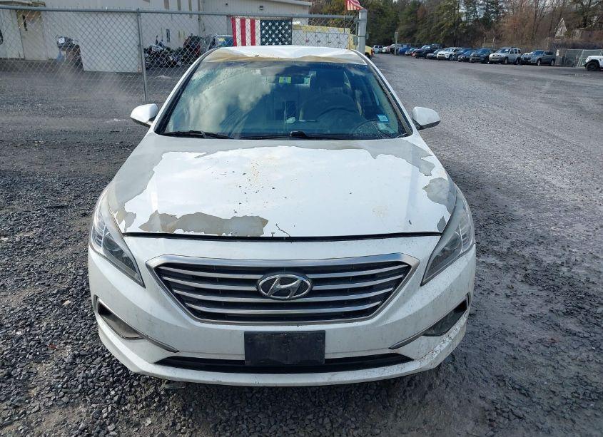 Photo 12 of 2017 Hyundai Sonata (VIN 5NPE24AF6HH472860)