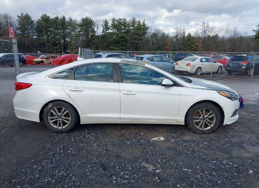 Photo 13 of 2017 Hyundai Sonata (VIN 5NPE24AF6HH472860)