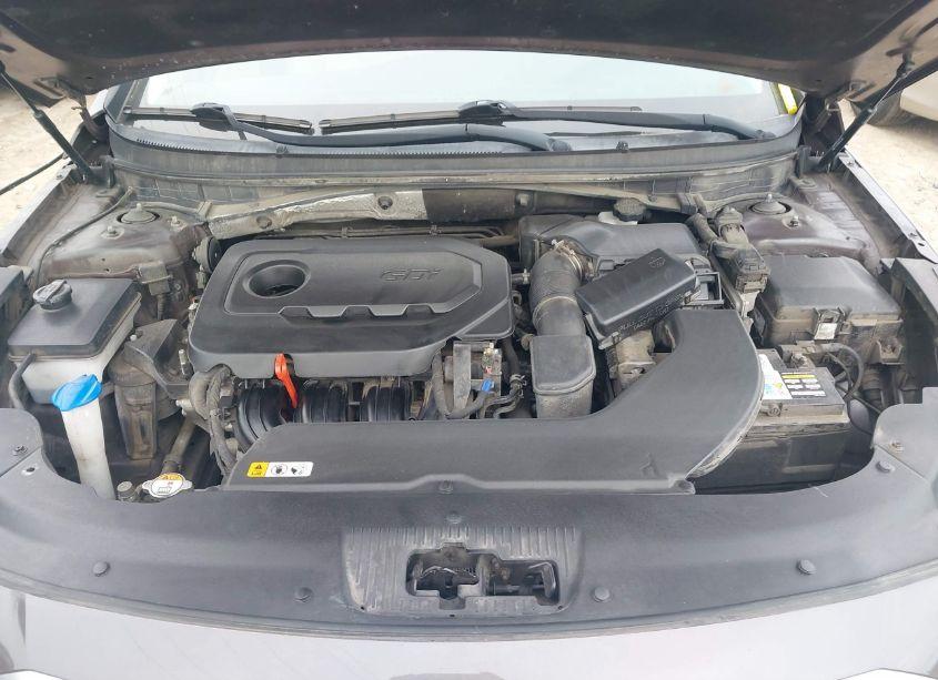 Photo 10 of 2017 Hyundai Sonata (VIN 5NPE24AF6HH532149)