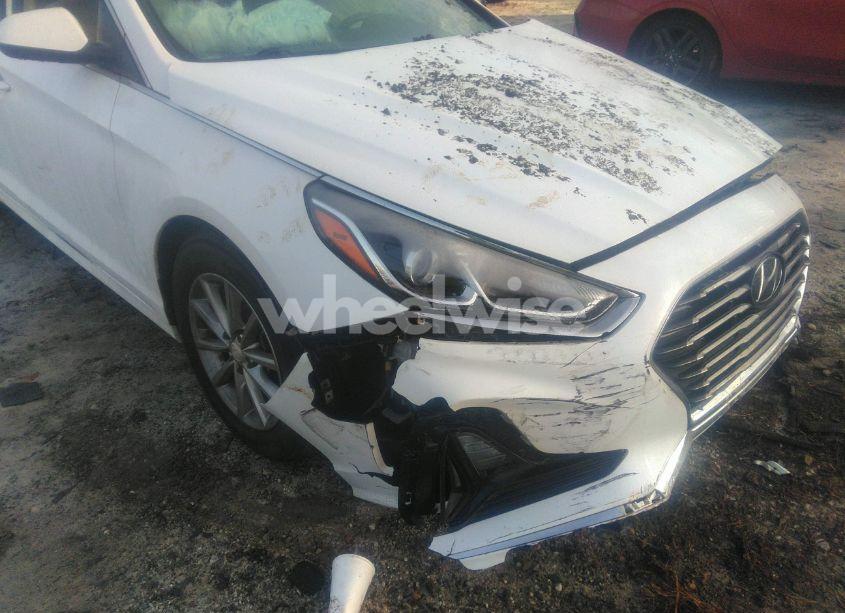 Photo 17 of 2019 Hyundai Sonata SE (VIN 5NPE24AF6KH756335)