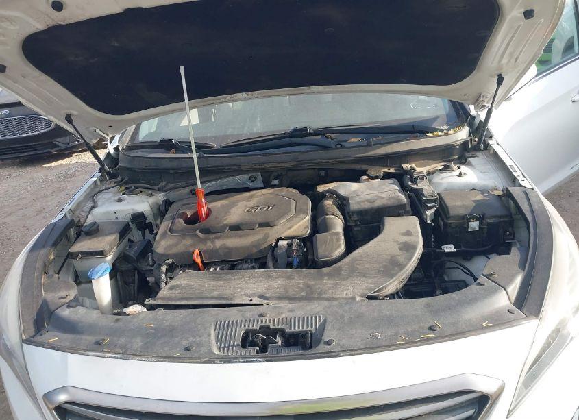 Photo 10 of 2016 Hyundai Sonata (VIN 5NPE24AF7GH404579)
