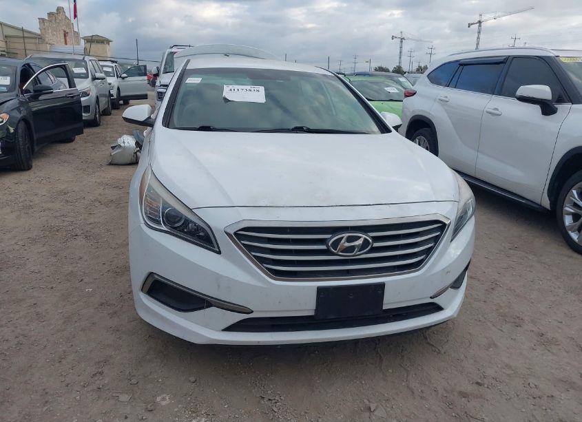Photo 13 of 2016 Hyundai Sonata (VIN 5NPE24AF7GH404579)
