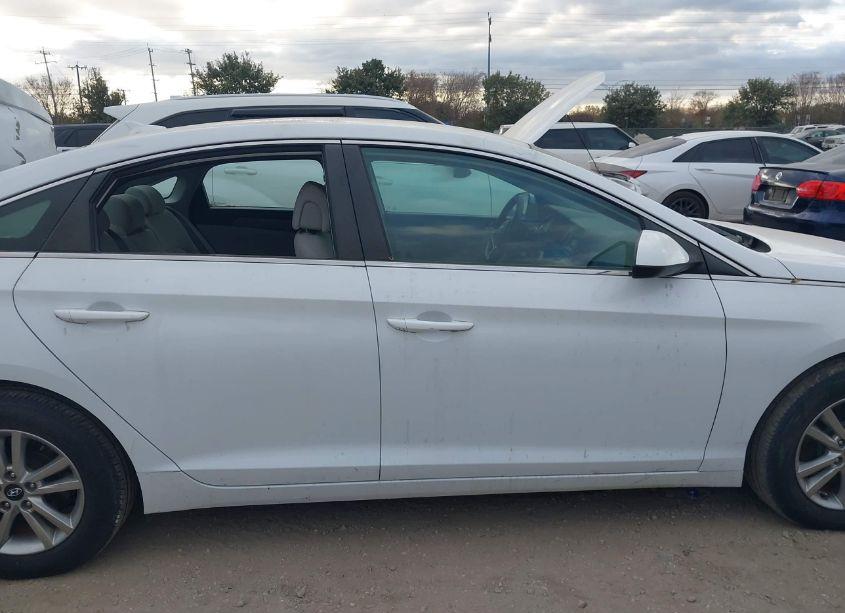 Photo 14 of 2016 Hyundai Sonata (VIN 5NPE24AF7GH404579)