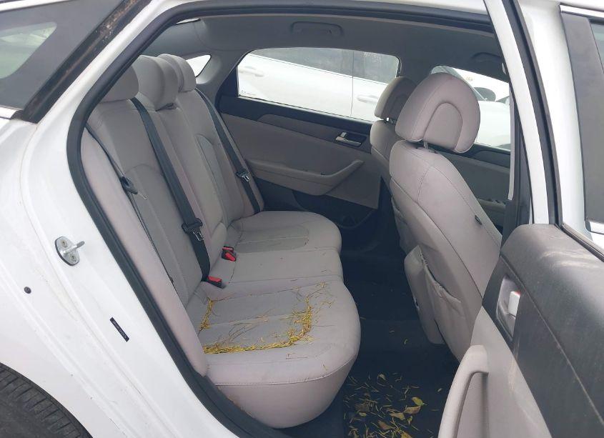 Photo 8 of 2016 Hyundai Sonata (VIN 5NPE24AF7GH404579)