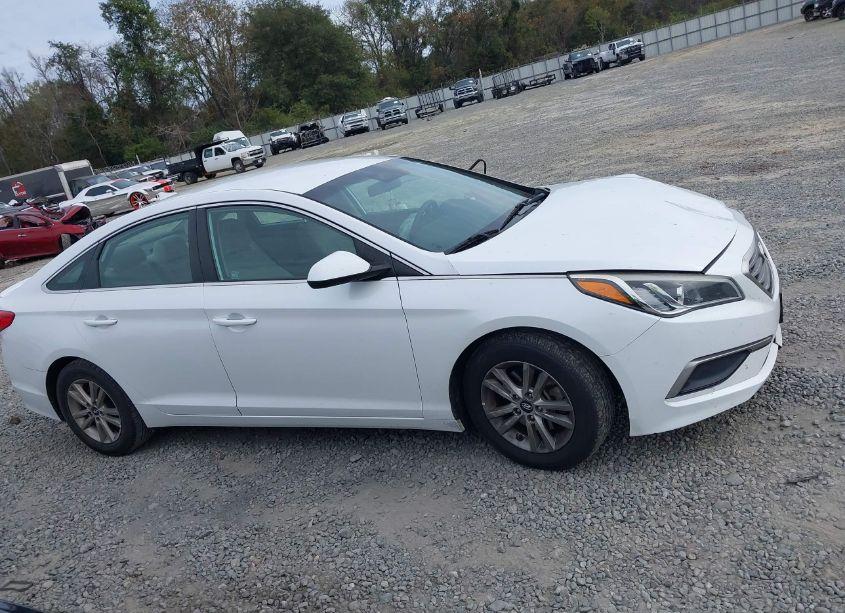 Photo 13 of 2017 Hyundai Sonata (VIN 5NPE24AF7HH445862)