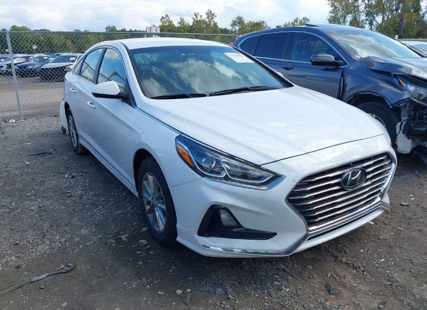 2019 Hyundai Sonata SE (VIN 5NPE24AF7KH772186) main photo
