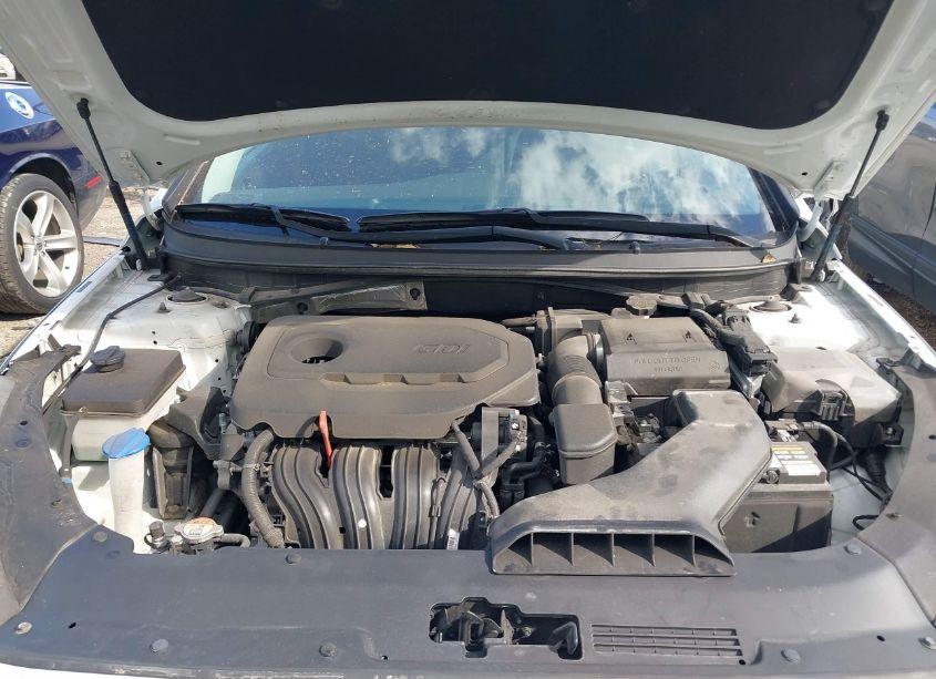 Photo 10 of 2019 Hyundai Sonata SE (VIN 5NPE24AF7KH772186)