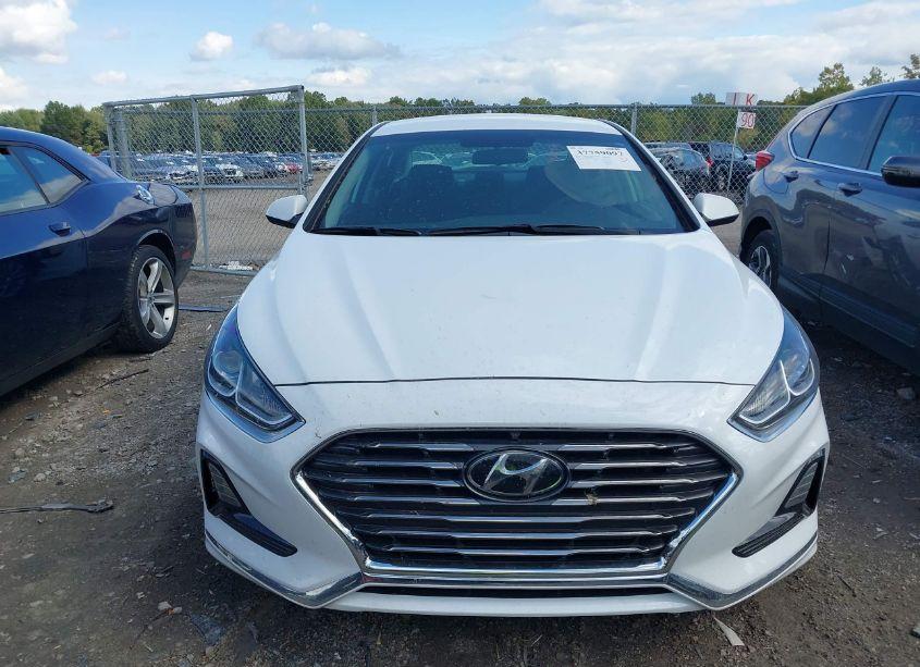Photo 13 of 2019 Hyundai Sonata SE (VIN 5NPE24AF7KH772186)