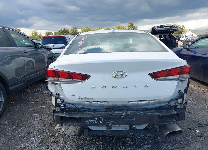 Photo 17 of 2019 Hyundai Sonata SE (VIN 5NPE24AF7KH772186)