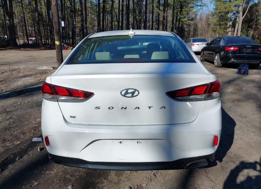 Photo 16 of 2019 Hyundai Sonata SE (VIN 5NPE24AF7KH777338)