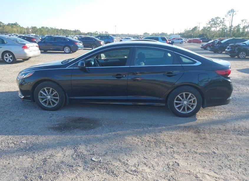 Photo 14 of 2019 Hyundai Sonata SE (VIN 5NPE24AF7KH788209)