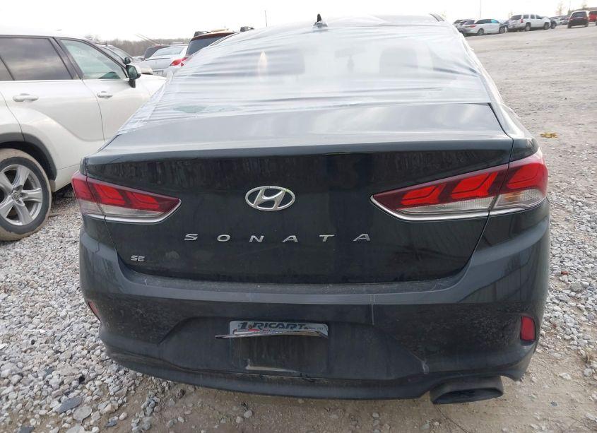 Photo 17 of 2019 Hyundai Sonata SE (VIN 5NPE24AF7KH809687)