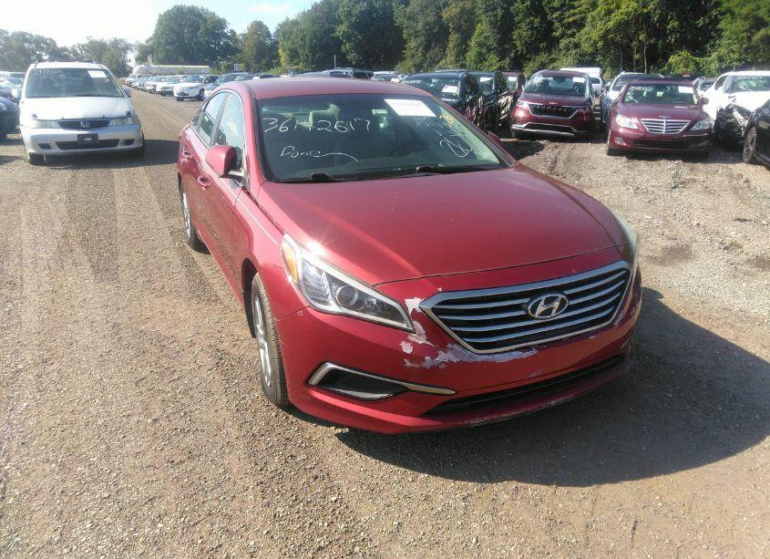 2016 Hyundai Sonata SE (VIN 5NPE24AF8GH288762) main photo
