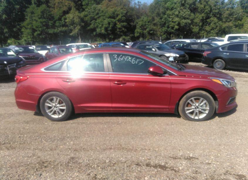 Photo 13 of 2016 Hyundai Sonata SE (VIN 5NPE24AF8GH288762)