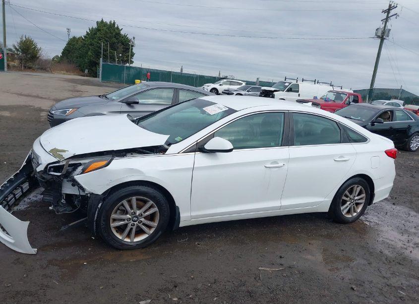 Photo 15 of 2016 Hyundai Sonata SE (VIN 5NPE24AF8GH322019)