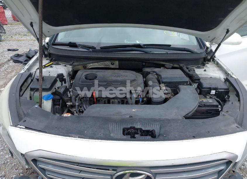 Photo 10 of 2016 Hyundai Sonata (VIN 5NPE24AF8GH395262)