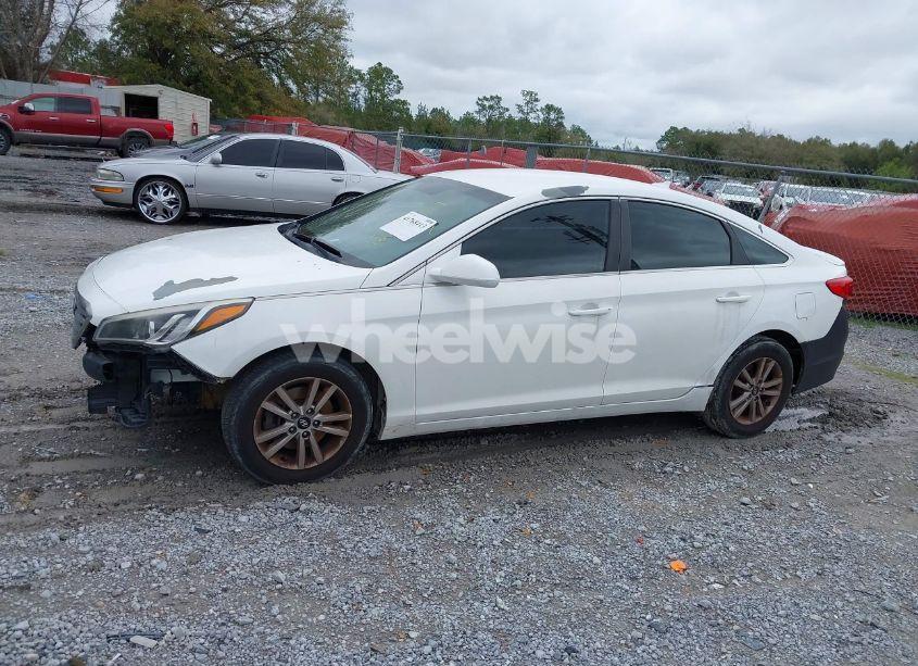 Photo 14 of 2016 Hyundai Sonata (VIN 5NPE24AF8GH395262)