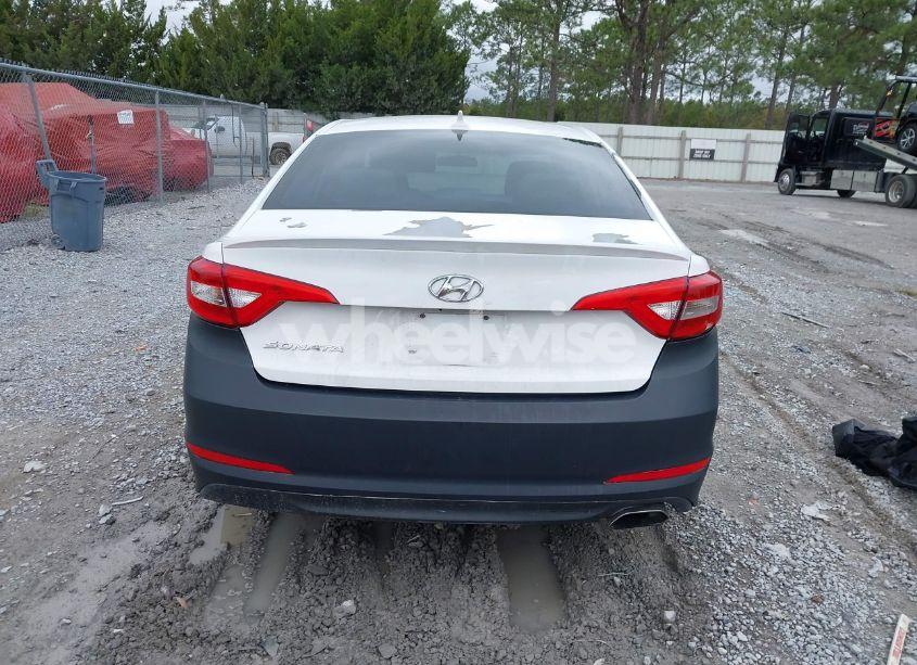 Photo 16 of 2016 Hyundai Sonata (VIN 5NPE24AF8GH395262)