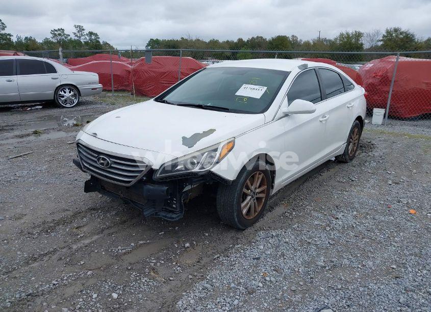 Photo 2 of 2016 Hyundai Sonata (VIN 5NPE24AF8GH395262)