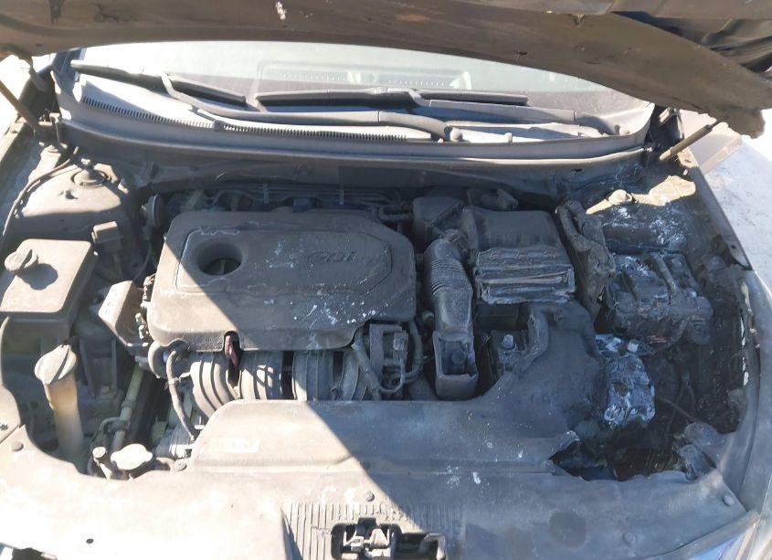 Photo 10 of 2016 Hyundai Sonata (VIN 5NPE24AF8GH395519)