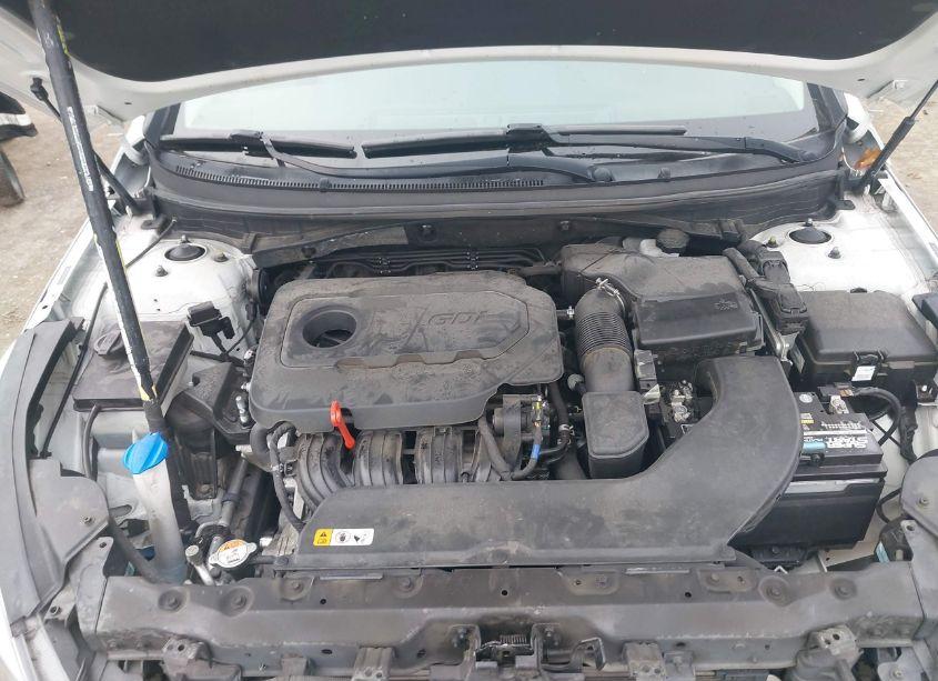 Photo 10 of 2017 Hyundai Sonata (VIN 5NPE24AF8HH521010)