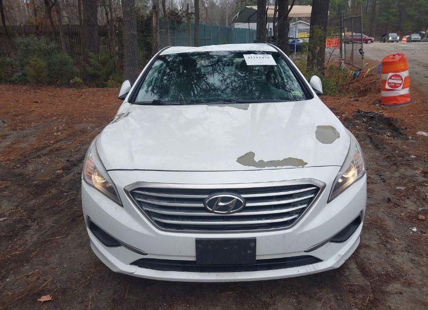 Photo 12 of 2017 Hyundai Sonata (VIN 5NPE24AF8HH536090)