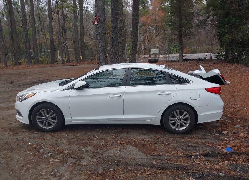 Photo 14 of 2017 Hyundai Sonata (VIN 5NPE24AF8HH536090)