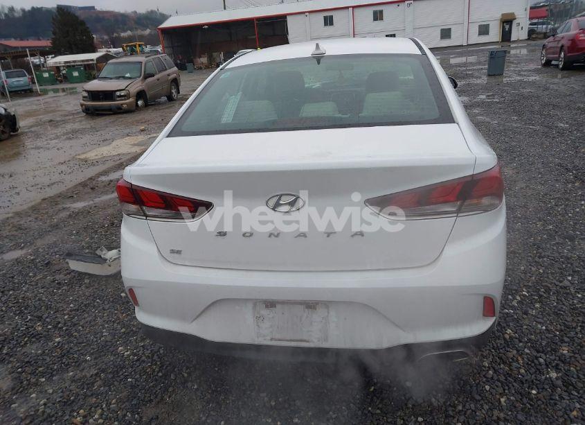 Photo 17 of 2019 Hyundai Sonata SE (VIN 5NPE24AF8KH741173)