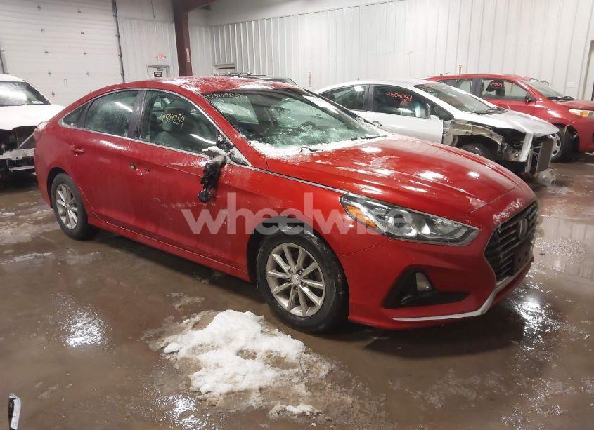 2019 Hyundai Sonata SE (VIN 5NPE24AF8KH745000) main photo