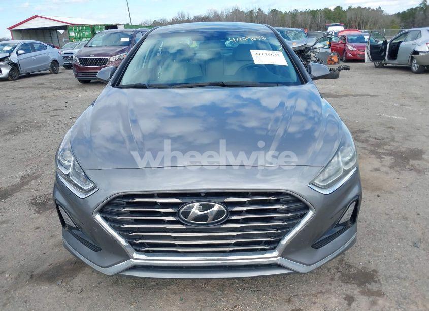 Photo 13 of 2019 Hyundai Sonata SE (VIN 5NPE24AF8KH800304)