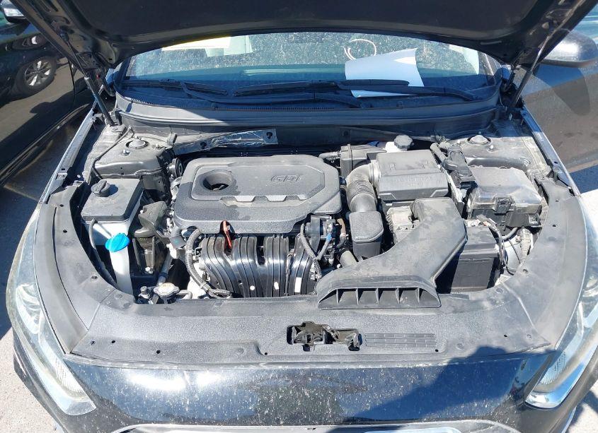 Photo 10 of 2019 Hyundai Sonata SE (VIN 5NPE24AF8KH801632)