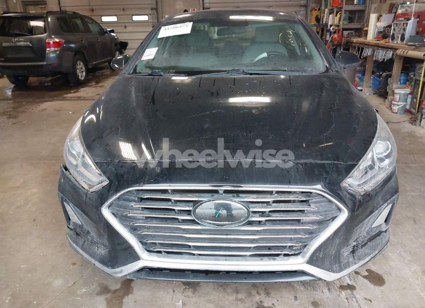 Photo 12 of 2019 Hyundai Sonata SE (VIN 5NPE24AF8KH808001)