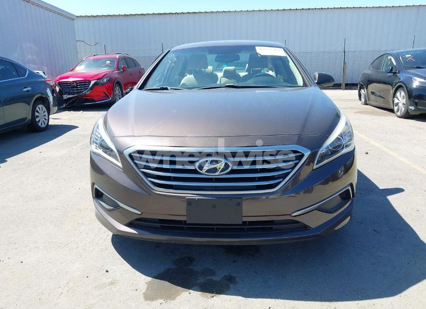 Photo 12 of 2016 Hyundai Sonata SE (VIN 5NPE24AF9GH408908)