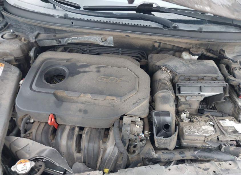 Photo 10 of 2016 Hyundai Sonata (VIN 5NPE24AF9GH416491)